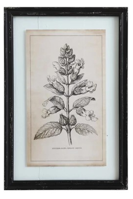 Black Framed Wall Decor with Floral Image