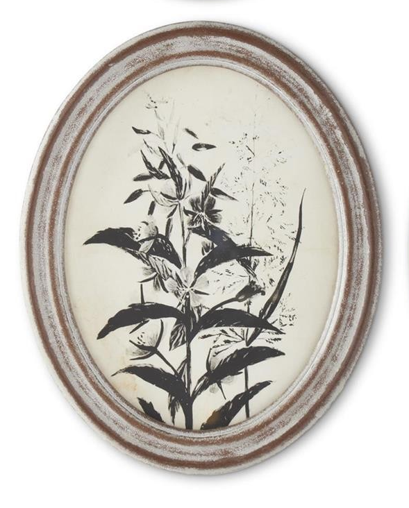 Oval Black & White Botanical Print