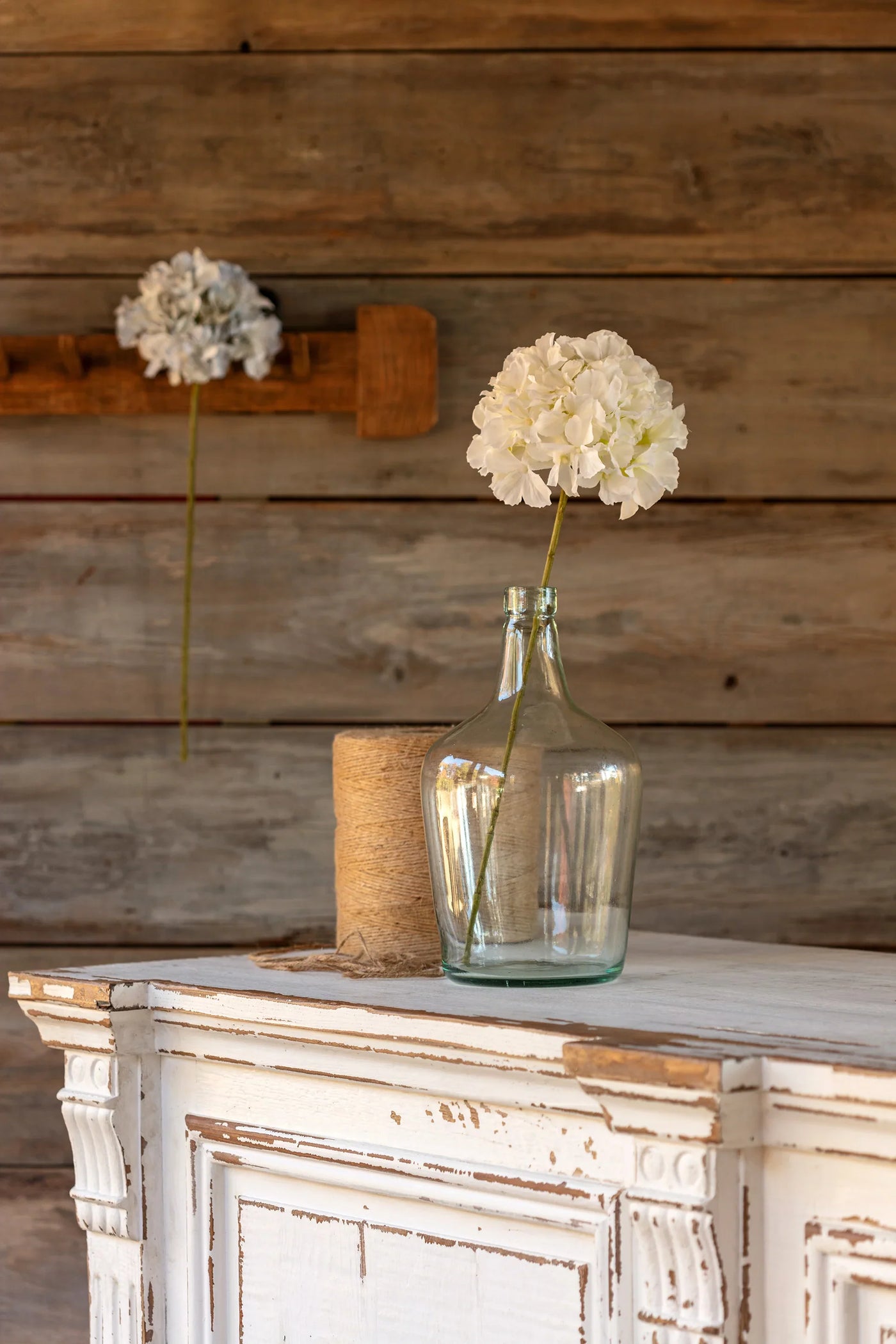 Hydrangea Stem of Various Colors