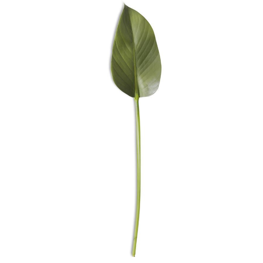 Faux Rubber Fig Stem