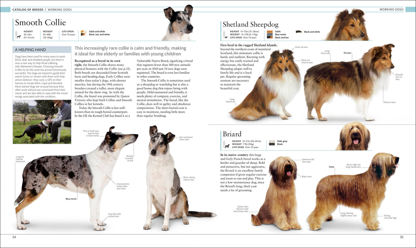 "The Dog Encyclopedia" Book