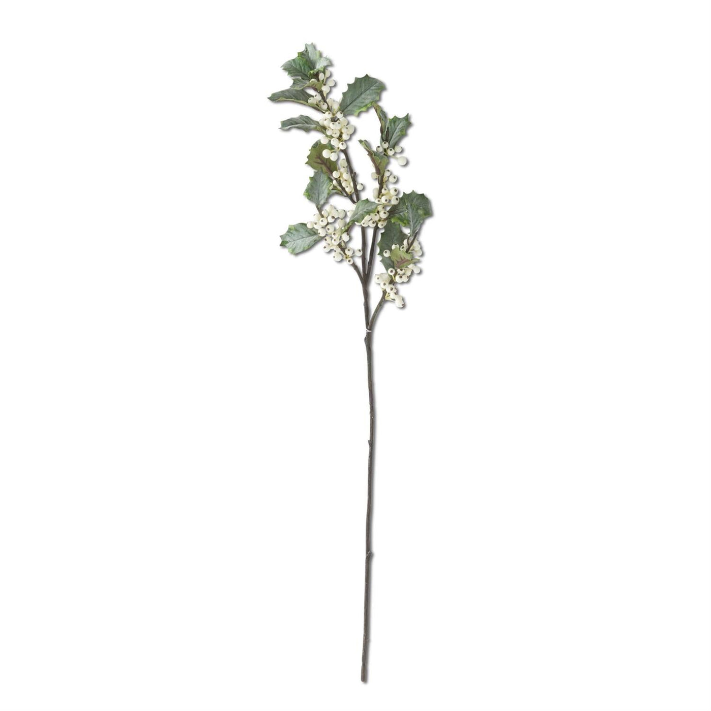 Holly Stem with White Berries