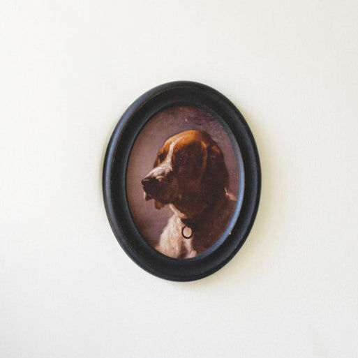Framed Oval Dog Artwork under Glass
