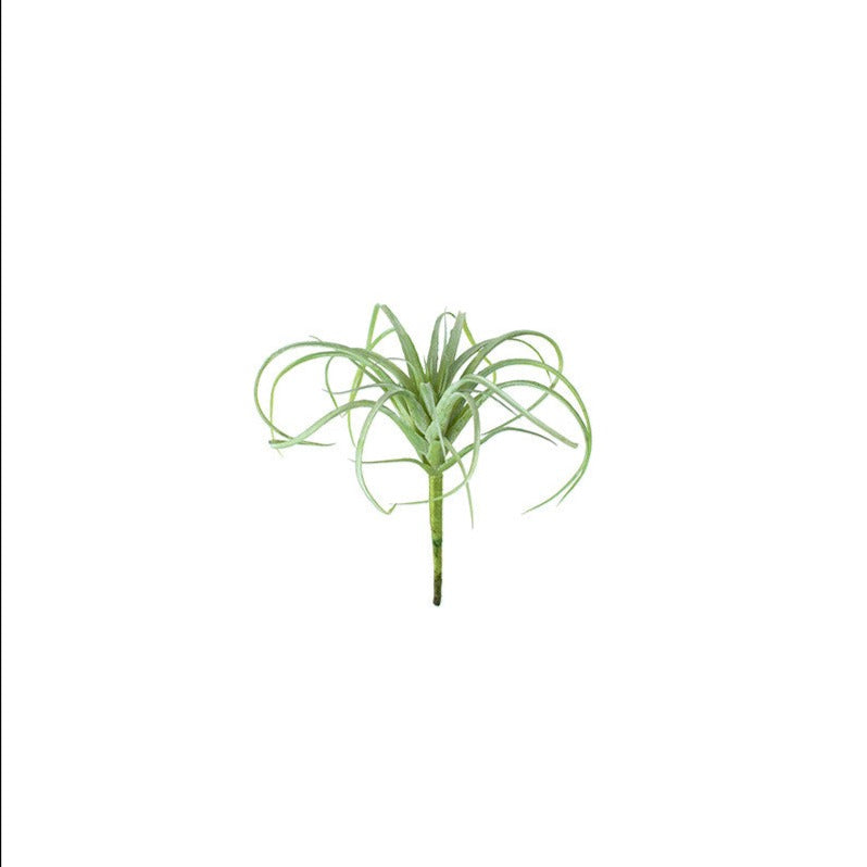 Faux Air Plant