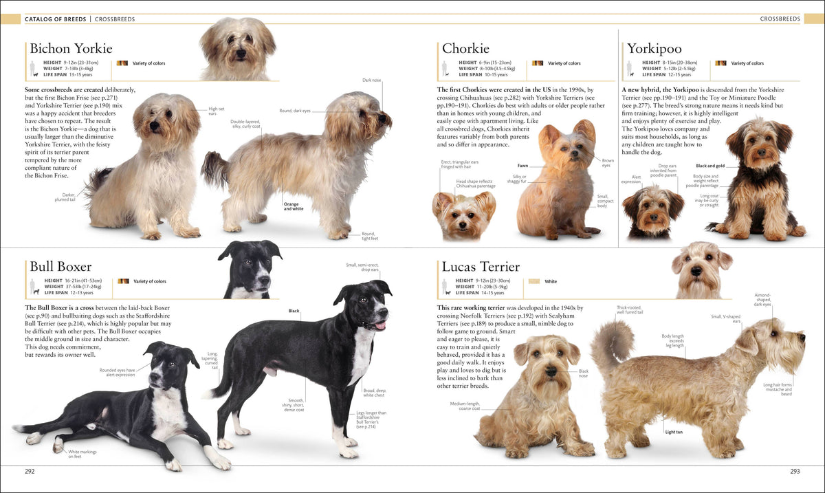 "The Dog Encyclopedia" Book