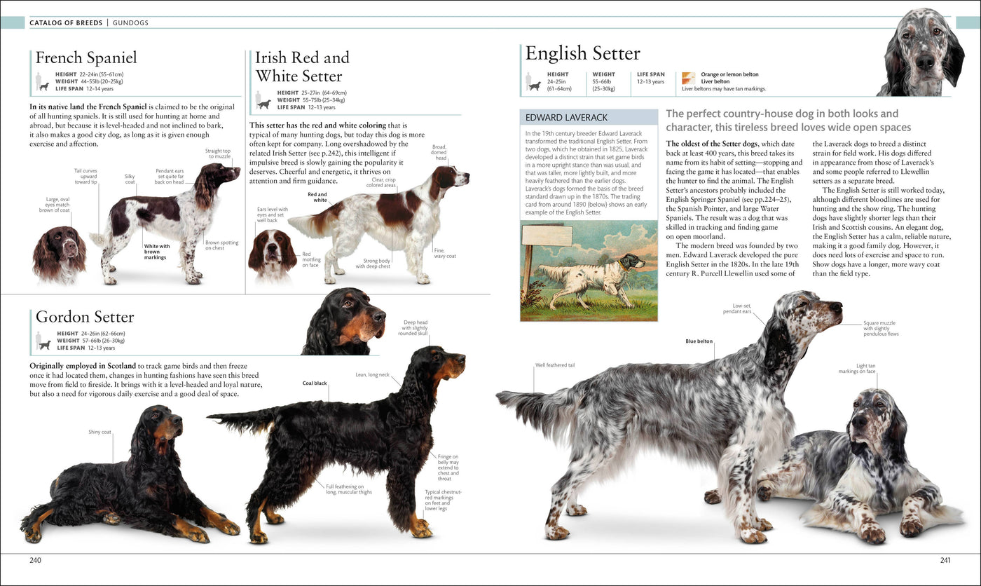 "The Dog Encyclopedia" Book