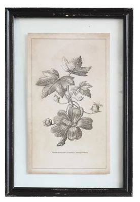 Black Framed Wall Decor with Floral Image